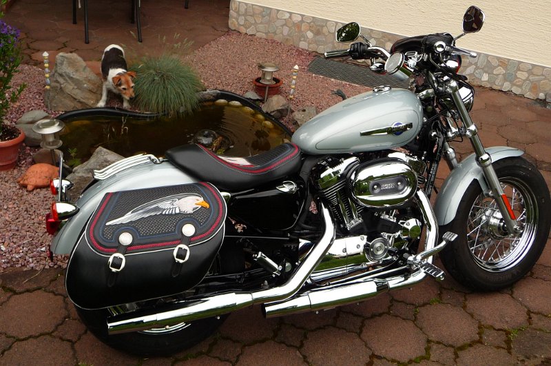 Harley Davidson